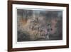 Fire on the Savannah-Peter Darro-Framed Limited Edition