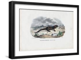 Fire Salamander, 1863-79-Raimundo Petraroja-Framed Giclee Print