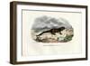 Fire Salamander, 1863-79-Raimundo Petraroja-Framed Giclee Print