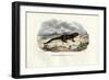 Fire Salamander, 1863-79-Raimundo Petraroja-Framed Giclee Print