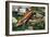 Fire Skink (Riopa Fernandi), Scincidae-null-Framed Giclee Print