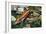 Fire Skink (Riopa Fernandi), Scincidae-null-Framed Giclee Print