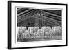 Fire Sprinklers, 19th Century-Science Photo Library-Framed Photographic Print