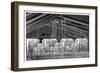 Fire Sprinklers, 19th Century-Science Photo Library-Framed Photographic Print