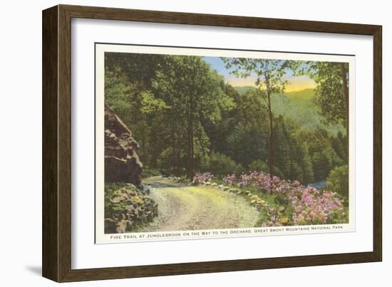 Fire Trail in Great Smoky Mountains-null-Framed Art Print