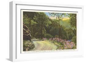 Fire Trail in Great Smoky Mountains-null-Framed Art Print