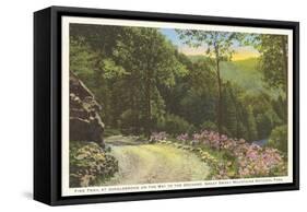 Fire Trail in Great Smoky Mountains-null-Framed Stretched Canvas