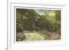 Fire Trail in Great Smoky Mountains-null-Framed Premium Giclee Print