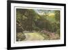 Fire Trail in Great Smoky Mountains-null-Framed Premium Giclee Print