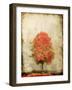Fire Tree-OnRei-Framed Art Print