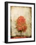 Fire Tree-OnRei-Framed Art Print