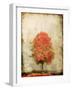 Fire Tree-OnRei-Framed Art Print