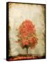 Fire Tree-OnRei-Framed Stretched Canvas