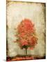 Fire Tree-OnRei-Mounted Art Print