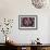 Fire Urchin-Jones-Shimlock-Framed Giclee Print displayed on a wall