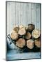 Fire Wood. Home Living Concept.-mervas-Mounted Photographic Print