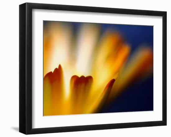 Fire-Ursula Abresch-Framed Photographic Print