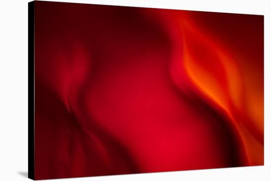 Fire-Ursula Abresch-Stretched Canvas