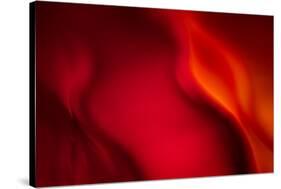 Fire-Ursula Abresch-Stretched Canvas