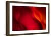 Fire-Ursula Abresch-Framed Photographic Print