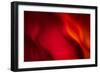 Fire-Ursula Abresch-Framed Photographic Print