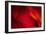 Fire-Ursula Abresch-Framed Photographic Print