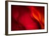 Fire-Ursula Abresch-Framed Photographic Print