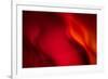 Fire-Ursula Abresch-Framed Photographic Print