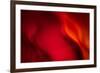 Fire-Ursula Abresch-Framed Photographic Print