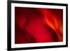 Fire-Ursula Abresch-Framed Photographic Print