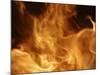 Fire-null-Mounted Photographic Print