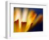 Fire-Ursula Abresch-Framed Photographic Print