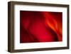 Fire-Ursula Abresch-Framed Photographic Print