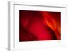 Fire-Ursula Abresch-Framed Photographic Print