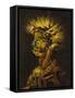 Fire-Giuseppe Arcimboldo-Framed Stretched Canvas