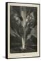 Fire-Jules Verne-Framed Stretched Canvas