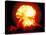 Fireball of H-Bomb Explosion after Test Blast over Bikini Atoll-null-Stretched Canvas