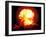 Fireball of H-Bomb Explosion after Test Blast over Bikini Atoll-null-Framed Photographic Print