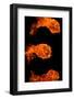 Fireballs-SSilver-Framed Photographic Print