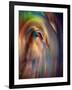 Firebird-Ursula Abresch-Framed Photographic Print