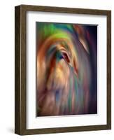 Firebird-Ursula Abresch-Framed Photographic Print