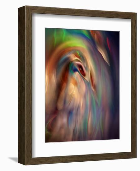 Firebird-Ursula Abresch-Framed Photographic Print