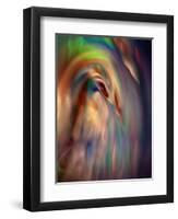 Firebird-Ursula Abresch-Framed Photographic Print