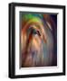 Firebird-Ursula Abresch-Framed Photographic Print