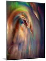 Firebird-Ursula Abresch-Mounted Photographic Print