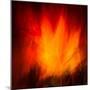 Firedance-Lynne Douglas-Mounted Photographic Print