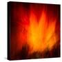 Firedance-Lynne Douglas-Stretched Canvas