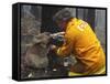 Firefighter Shares His Water an Injured Australian Koala after Wildfires Swept Through the Region-null-Framed Stretched Canvas