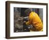 Firefighter Shares His Water an Injured Australian Koala after Wildfires Swept Through the Region-null-Framed Photographic Print