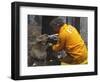 Firefighter Shares His Water an Injured Australian Koala after Wildfires Swept Through the Region-null-Framed Photographic Print